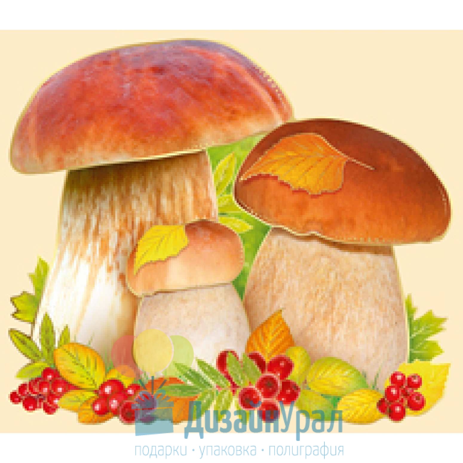 Осенние грибы для детей