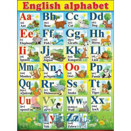 Плакат А2 Английский алфавит 440х596 10 экз. 0800463