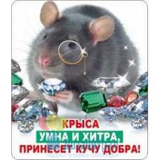 Виниловый магнит Крыса умна и хитра! 60х70 10 51.12.154